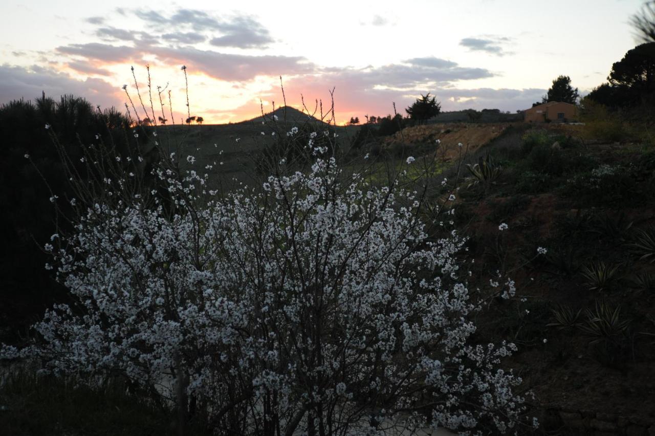 Agriturismo Il Drago Piazza Armerina Dış mekan fotoğraf